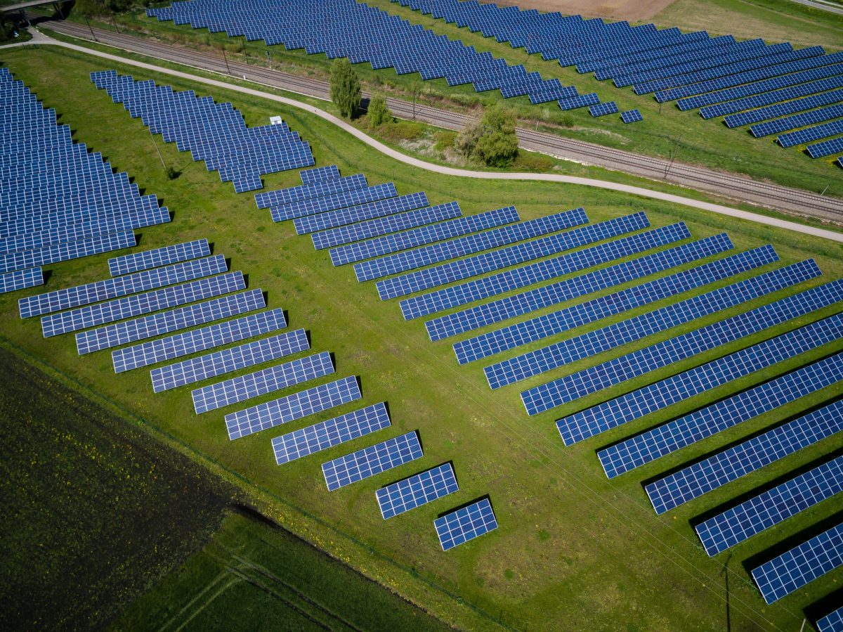 Large expanse of land covered in solar panels