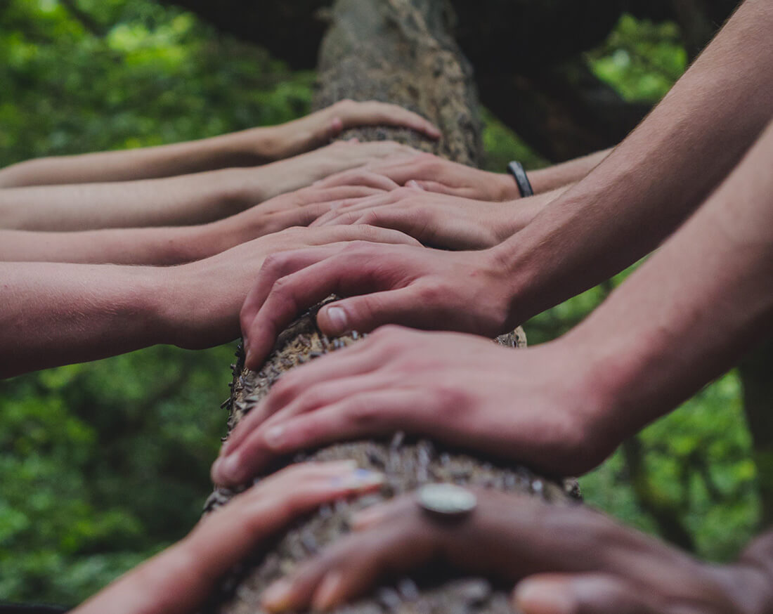 Multiple pairs of human hands touching a tree trunk