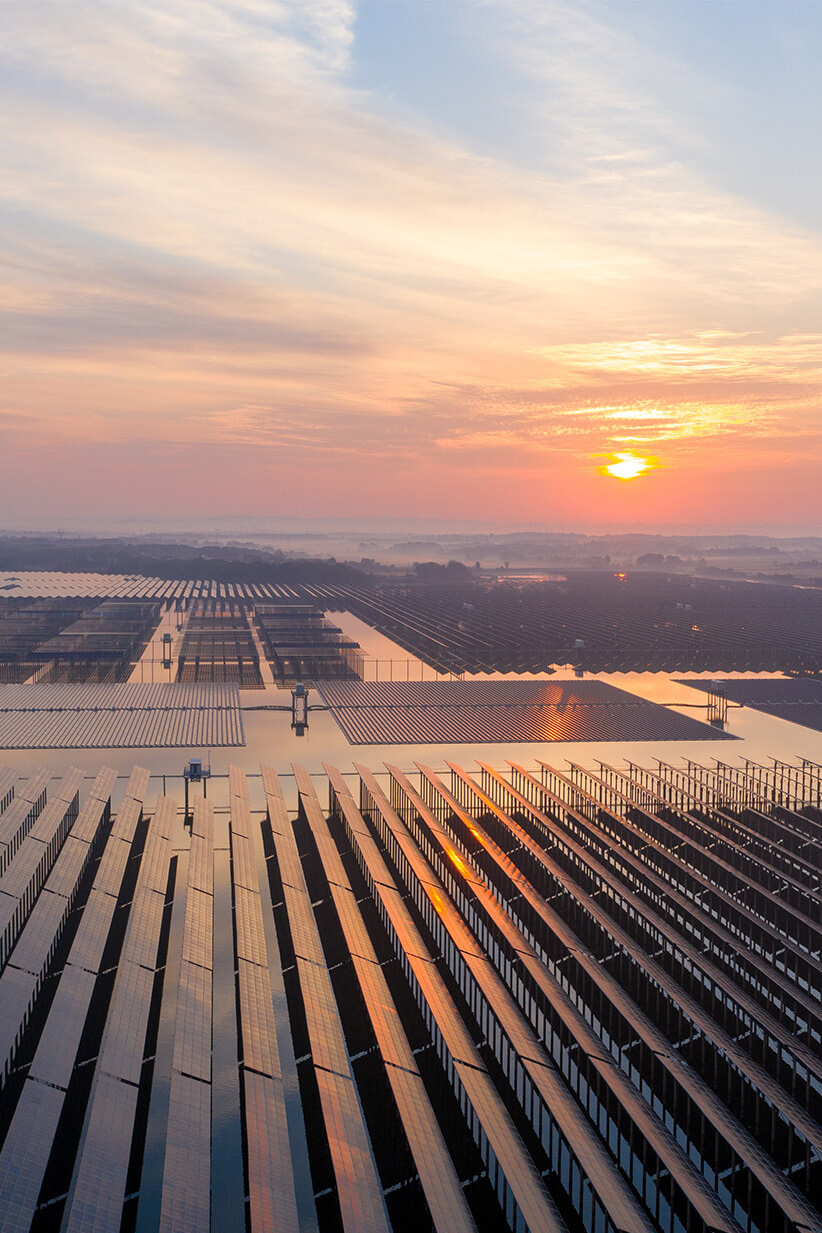 A well-designed solar field that is reflecting a pink sunset